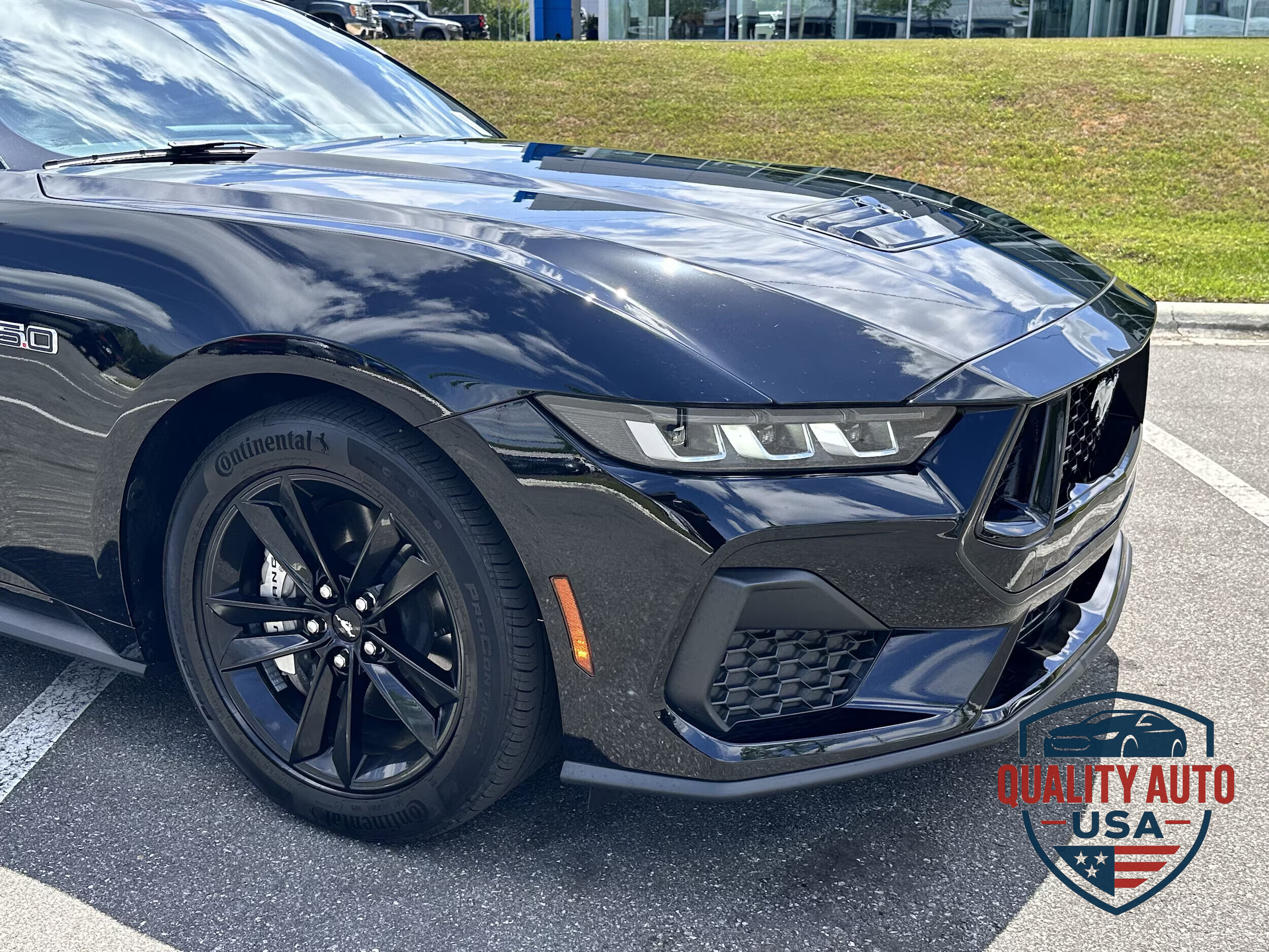Mustang GT On site_Mustang GT