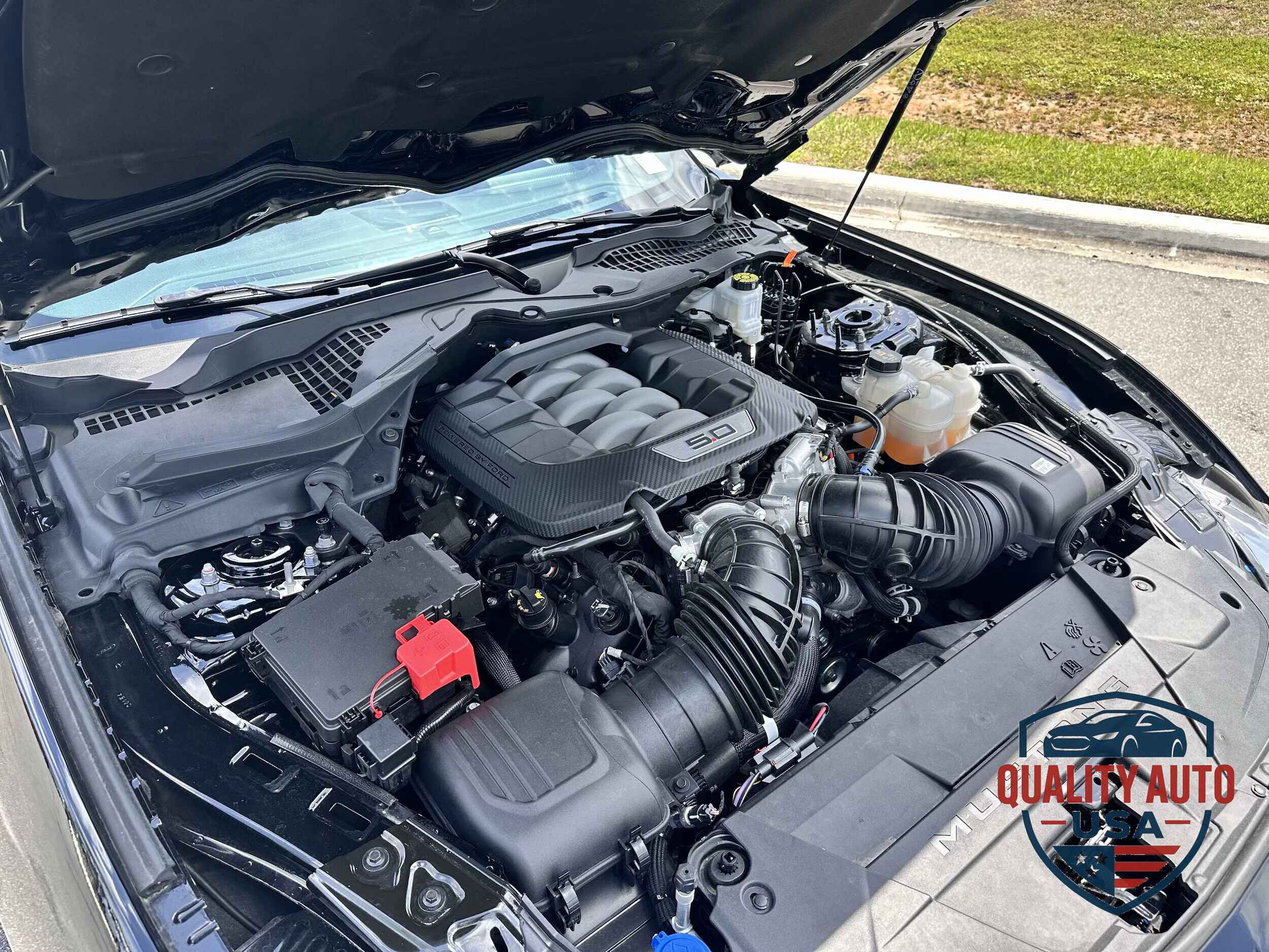 Mustang GT On site_Mustang GT